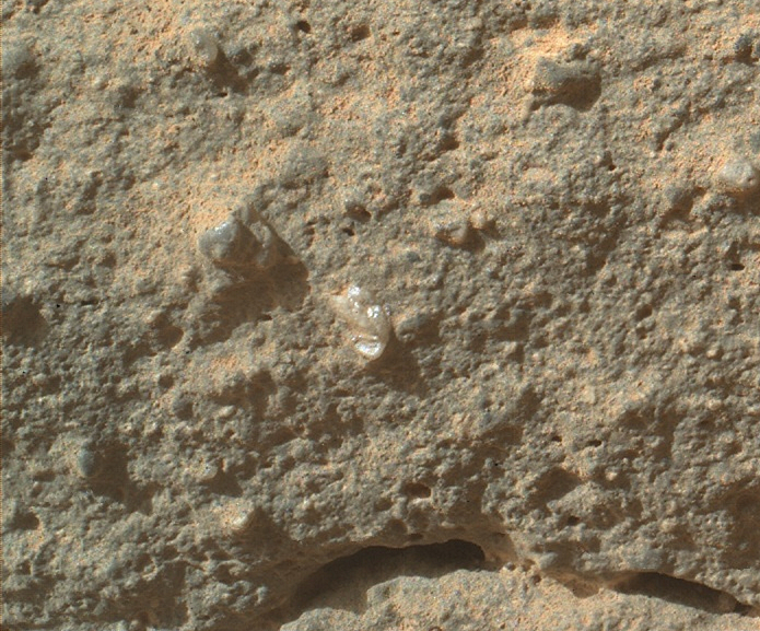Загадочный "цветок" на Марсе - в центре фотографии